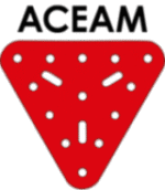 Boletín 31